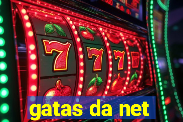 gatas da net